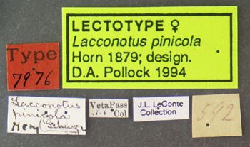 Media type: image;   Entomology 7976 Aspect: labels
